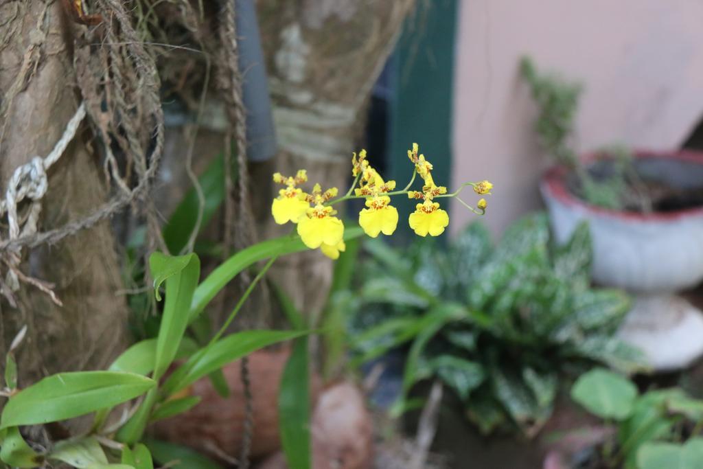 Villa No1 เบนโตตา ภายนอก รูปภาพ